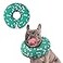 Supet Inflatable Dog Cone Collar for Large Medium Small Dogs Soft Cone Collar for Dogs Cats ECollar Doggie Neck Donut Dog Cone Alternative After Surgery