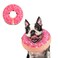 Supet Inflatable Dog Cone Collar Alternative After Surgery Doggie Neck Donut Collar Recovery ECollar for Post Surgery Soft Dog Cone for Small Medium Puppies Cats