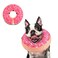 Supet Inflatable Dog Cone Collar Alternative After Surgery Doggie Neck Donut Collar Recovery ECollar for Post Surgery Soft Dog Cone for Small Medium Puppies Cats