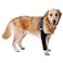 LufeLux Dog Sleeves for Wounds Front Legs Compression Sleeve Dog Cone Alternative Keep from Licking with Strechy Adjustable Elastic Band for Hot Spots Wounds Bandages
