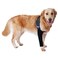 LufeLux Dog Sleeves for Wounds Front Legs Compression Sleeve Dog Cone Alternative Keep from Licking with Strechy Adjustable Elastic Band for Hot Spots Wounds Bandages