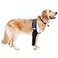 LufeLux Dog Front Leg Sleeve XLarge Comfortable Breathable Material Adjustable Elastic Band for Hot Spots Wounds Bandages