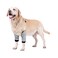 Harikaji Dog Elbow Protector Elbow Sleeves with Mesh Pad for Medium Large Dogs Prevent Licking WoundStripeXL