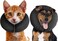ZenPet Recovery Inflatable Collar for Dogs Cats Soft Comfortable Safe StressFree Healing Alternative ECollar After Surgery Adjustable Donut Design Secure Fit XSmall