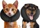 ZenPet Recovery Inflatable Collar for Dogs Cats Soft Comfortable Safe StressFree Healing Alternative ECollar After Surgery Adjustable Donut Design Secure Fit XSmall