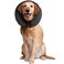 ZenPet Recovery Inflatable Collar for Dogs Cats Soft Comfortable Safe StressFree Healing Alternative ECollar After Surgery Adjustable Donut Design Secure Fit XLarge