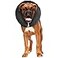 ZenPet Protective Inflatable Recovery Collar for Dogs and Cats Soft Pet Collar Does Not Block Vision ECollar Designed to Prevent Pets from Touching Stitches Wounds and Rashes Large