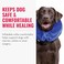KONG Cloud Collar Inflatable Collar For Injuries Rashes and Post Surgery Recovery For Large Dogs
