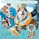 Cneo Recovery Donut Collar for Dogs CatInflatable Dog Cone Collar Alternative After SurgerySoft Cone for Large Medium Small DogAdjustable Pet Neck DonutBlueSmall