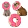 Cneo Inflatable Cone Collar for Large Medium Small Dogs Soft Adjustable Recovery Collar for Dogs CatsDog Cone Neck Donut Alternative After SurgeryPinkSmall