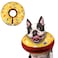 Supet Inflatable Dog Cone Collar Alternative After Surgery Doggie Neck Donut Collar Recovery ECollar for Post Surgery Soft Dog Cone for Small Medium Puppies Cats