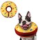 Supet Inflatable Dog Cone Collar Alternative After Surgery Doggie Neck Donut Collar Recovery ECollar for Post Surgery Soft Dog Cone for Small Medium Puppies Cats