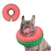 Supet Inflatable Dog Cone Collar Alternative After Surgery Doggie Neck Donut Collar Recovery ECollar for Post Surgery Soft Dog Cone for Small Medium Puppies Cats