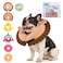 KOOLTAIL Inflatable Dog Cone Collar Soft Donut E Collar for Dogs After Surgery to Stop Licking Enhanced Alternative Blow Up Pet Neck Pillow Recovery Adjustable Cone for Dog Cat Lion M