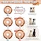 KOOLTAIL Inflatable Dog Cone Collar Soft Donut E Collar for Dogs After Surgery to Stop Licking Enhanced Alternative Blow Up Pet Neck Pillow Recovery Adjustable Cone for Dog Cat Lion M
