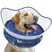 Toptakeit Elevated Inflatable Dog Cone Collar to Stop Licking Dog Donut Collar After Surgery Soft Pet Cone Alternative for Small Medium Large Dogs