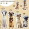 BONTHEE Dog Cone Collar for After SurgeryTransparent Dog Cones Alternative for Small Large Medium Size DogsAdjustable Depth Pet Recovery CollarsElizabethan Collar for Dogs Stop Licking WoundXXL