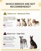 MIDOG Dog Cone Collar for Large Medium Dogs Soft Inflatable Dog Cone Alternative After Surgery Adjustable Protective Recovery Cone Alternative E Collar Does Not Block Vision Bow TieL
