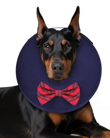 MIDOG Dog Cone Collar for Large Medium Dogs Soft Inflatable Dog Cone Alternative After Surgery Adjustable Protective Recovery Cone Alternative E Collar Does Not Block Vision Bow TieL