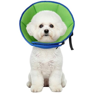 Allroaring Dog Cone Collar After Surgery Adjustable Soft Recovery Cone for Small Dogs to Stop Licking LightWeight Comfortable Elizabethan Collar for Dogs AntiBite Lick Protective Wound