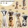 BONTHEE Dog Cone Collar for After SurgeryTransparent Dog Cones Alternative for Small Large Medium Size DogsAdjustable Depth Pet Recovery CollarsElizabethan Collar for Dogs Stop Licking WoundS