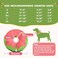 Gimars Inflatable Dog Cone Alternative Dog Donut Collar After Surgery Soft Neck Pillow Recovery Cone Elizabethan Collar Alternative for Medium Dogs