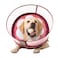 Mariyago Inflatable Dog Cone Collar for Large Medium Small Dogs Soft Dog Donut Collar Adjustable Recovery Cone for Pets After Surgery Extra Enhanced AntiLicking Guard Shield Mangosteen Large