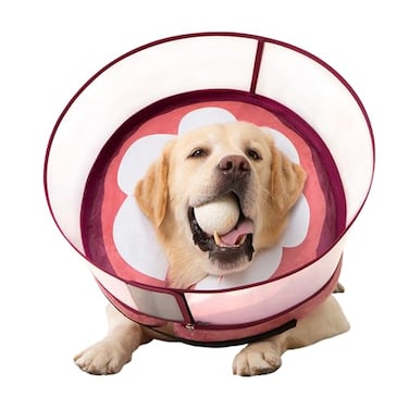 Mariyago Inflatable Dog Cone Collar for Large Medium Small Dogs Soft Dog Donut Collar Adjustable Recovery Cone for Pets After Surgery Extra Enhanced AntiLicking Guard Shield Mangosteen Large
