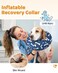 Supet Inflatable Dog Cone Collar Alternative After Surgery Dog Neck Donut Collar Recovery E Collar Soft Pet Cone for Small Medium Large Dogs