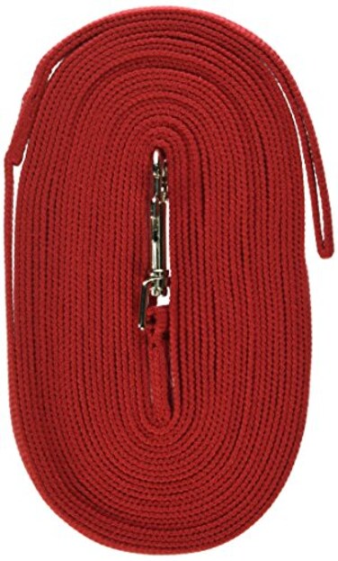 Guardian Gear Cotton Web Training Lead 30 Ft Red