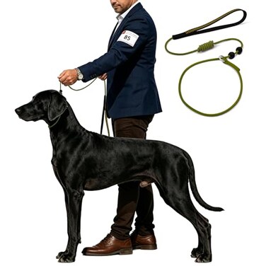 BeauGo Dog Training Leash 36ftTraining Rope Designed specifically for Dog Training and competitionsLightweight Dogs Training Rope for Large Medium and Small DogsNoPull Training Walking