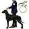 BeauGo Dog Training Leash 36ftTraining Rope Designed specifically for Dog Training and competitionsLightweight Dogs Training Rope for Large Medium and Small DogsNoPull Training Walking