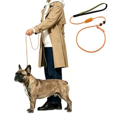 BeauGo Dog Training Leash 36ft2In1Training Lead CollarTraining Rope specifically Designed for Dog Training and CompetitionLightweight Dogs Training Rope for Large Medium and Small Dogs