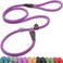 Fida Durable Slip Lead 6 FT x 12 Heavy Duty Rope Leash for Large Medium Dogs No Pull Pet Training Leash with Highly Reflective Purple