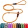 Fida Durable Slip Lead Dog Leash 6 FT x 38 Heavy Duty Comfortable Strong Rope Slip Lead for Small Dogs and Puppies No Pull Pet Training Leash with Highly Reflective 38 Orange