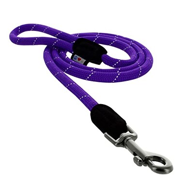 Pawtitas Purple Rope Dog Leash XSmallSmall 6 ft