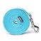 Siumouhoi Strong Durable Nylon Dog Training Leash 1 Inch Wide Traction Rope 6 ft Long for Small and Medium Dog Mint Blue 6 Feet