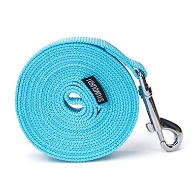 Siumouhoi Strong Durable Nylon Dog Training Leash 1 Inch Wide Traction Rope 6 ft Long for Small and Medium Dog Mint Blue 6 Feet