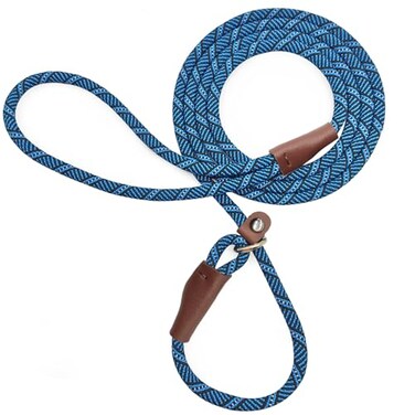 Mycicy Slip Lead Dog Leash 14 x 5ft No Pull Slipon Training Leash for Small and Medium Dogs Blue 14 x 5Ft
