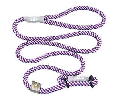 Cesar Millan Slip Lead Leash Dog Leash in Training Leash Regular AquaPurple