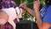 Cesar Millan Slip Lead Leash Dog Leash in Training Leash Regular PinkGray