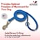 JIM HODGES DOG TRAINING Gummy K9 Dog Leash Biothane Dog Training Leash Made in The USA 6 Feet Various Sizes Colors 58 Light Blue