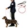 BeauGo Dog Training Leash 46ft Slip Lead Dog Leash Training Rope Designed specifically for Dog Training and Competitions Lightweight Dogs Training Rope for Large Medium and Small Dogs