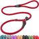Fida Slip Leads for Dogs 4 FT x 12 Dog Leash Heavy Duty Comfortable Strong Rope Lead for Large Medium Dogs No Pull Pet Training Leash with Highly ReflectiveRed