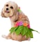 Rubies Hula Girl Pet Costume for Dogs or Cats Small