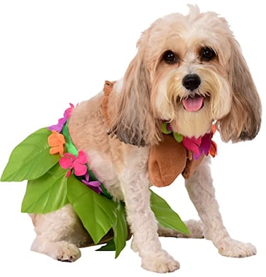 Rubies Hula Girl Pet Costume for Dogs or Cats Small