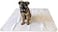 Midlee 47 x 47 Dog Pee Pad Pack of 2 Washable Reusable Large Puppy Potty Training Pad