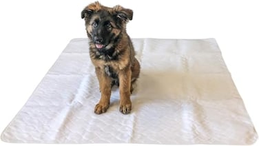 Midlee 47 x 47 Dog Pee Pad Pack of 2 Washable Reusable Large Puppy Potty Training Pad