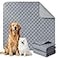 Eterish Reusable Washable Pee Pads for Dogs Extra Large 36 x 48 2 Pack Absorbent Pet Puppy Dog Training Pads NonSlip Waterproof Whelping Potty Pads for Dogs LeakProof