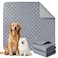 Eterish Reusable Washable Pee Pads for Dogs Extra Large 36 x 48 2 Pack Absorbent Pet Puppy Dog Training Pads NonSlip Waterproof Whelping Potty Pads for Dogs LeakProof